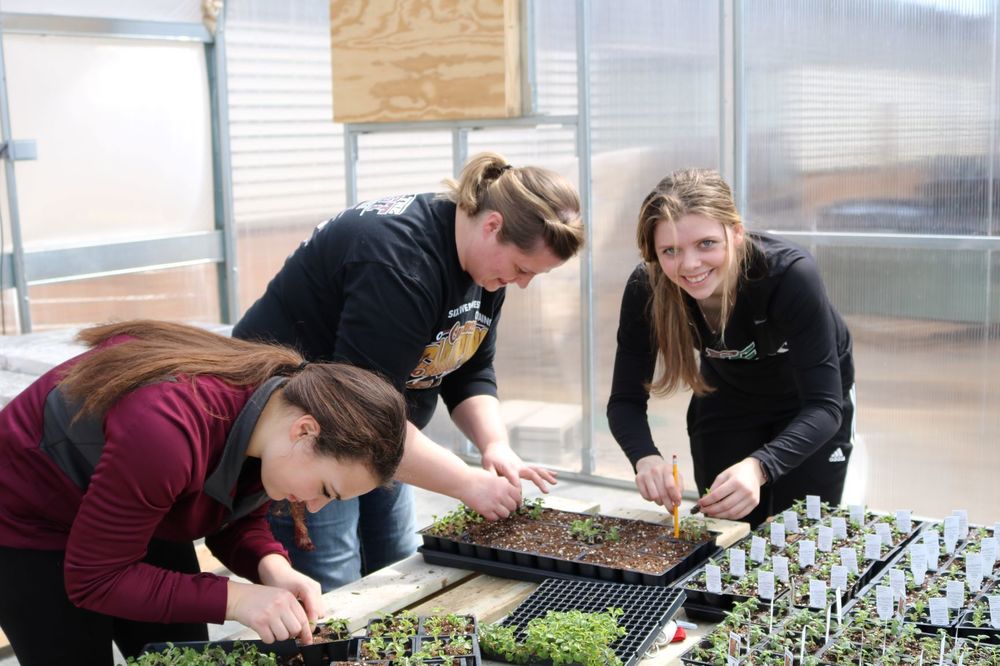 Mrs. Brunton and students preparing for last spring's plant sale